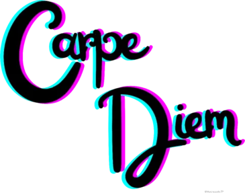 Carpe Diem — Typographie rose et turquoise