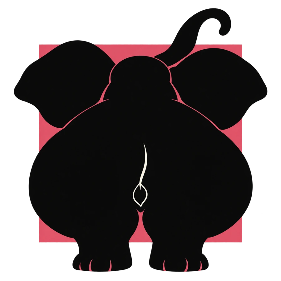 Éléphant de dos trop grand pour le cadre