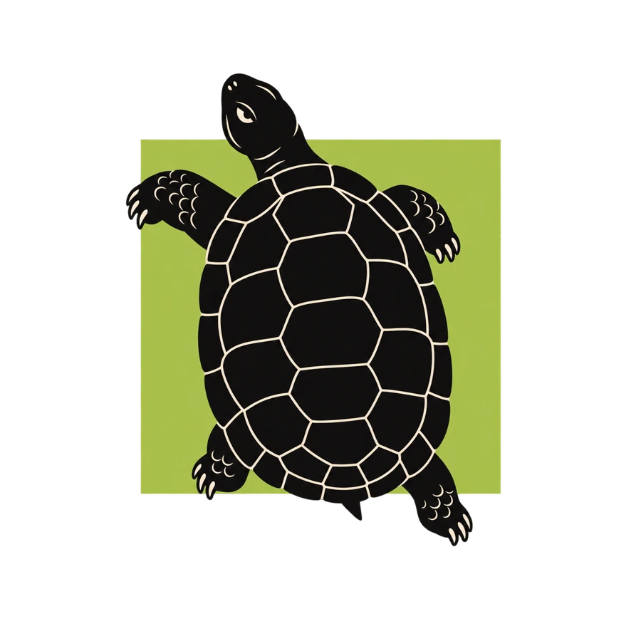 Tortue qui prend ses aises hors cadre