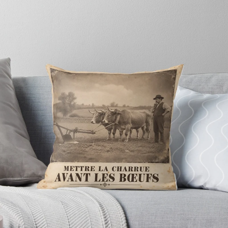 Mettre la charrue avant les bœufs — Départ compromis sur Coussin