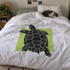 Tortue qui prend ses aises hors cadre — image publiée sur Instagram