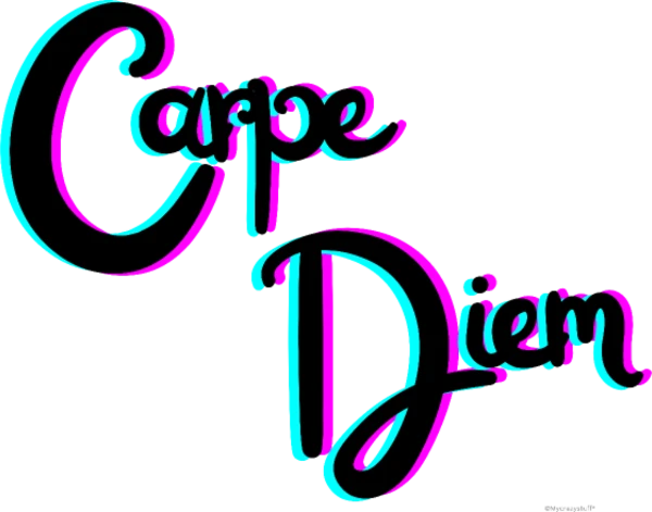 Carpe Diem — Typographie rose et turquoise