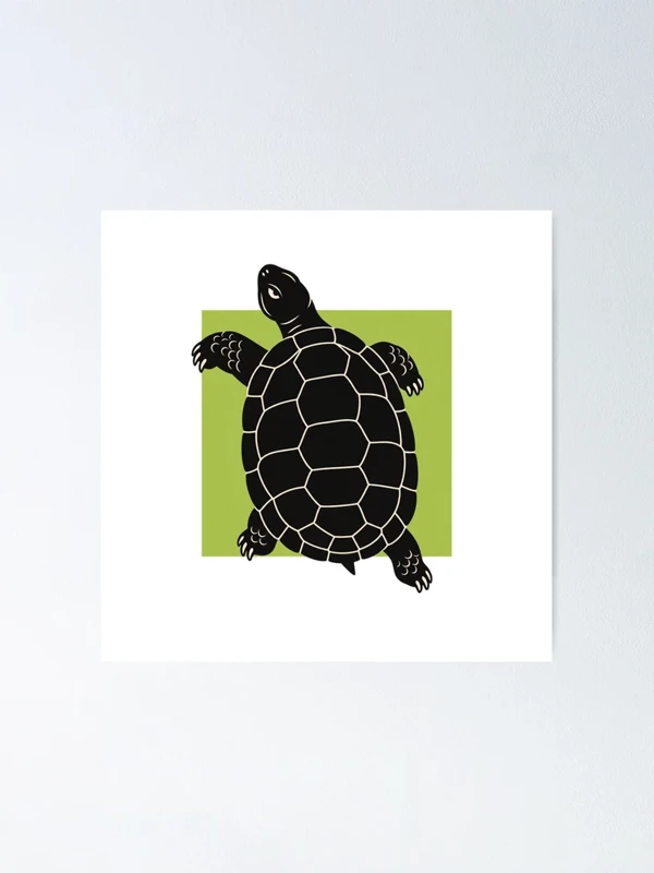Tortue qui prend ses aises hors cadre sur Poster