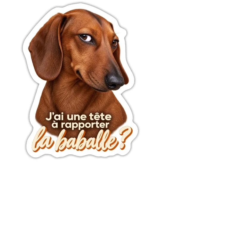 Teckel pas convaincu sur Sticker découpé 15 × 15 cm · blanc mat