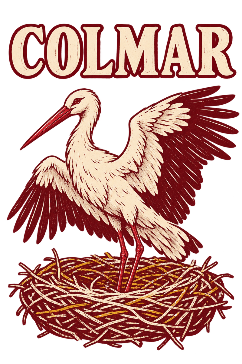 Colmar, cigogne au nid