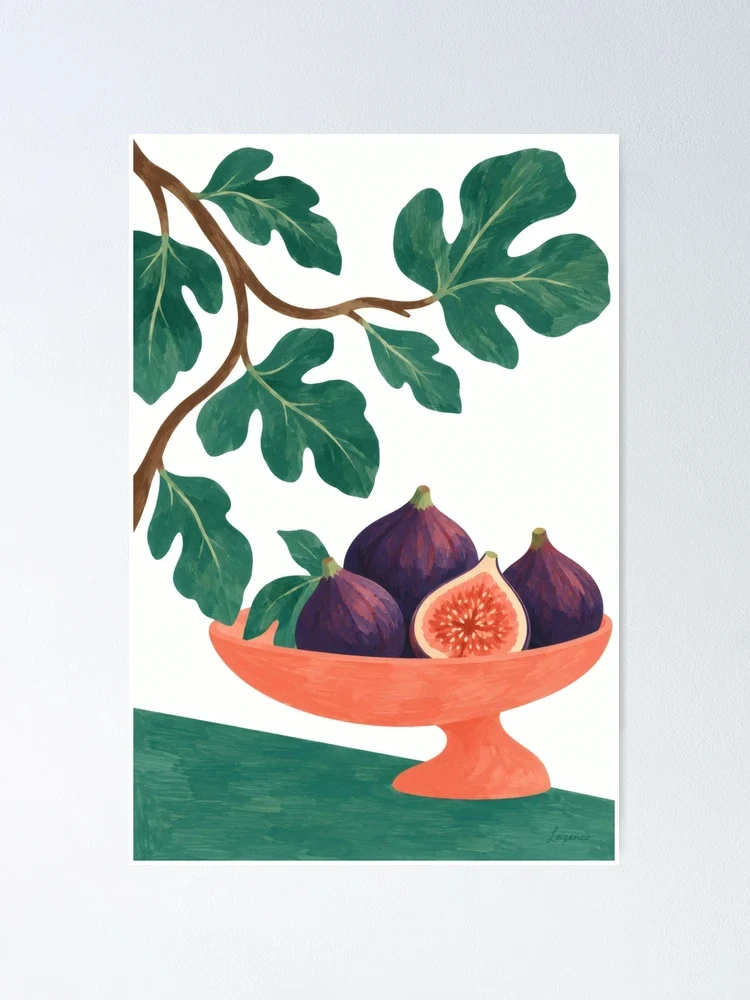 Figues de velours — Poster
