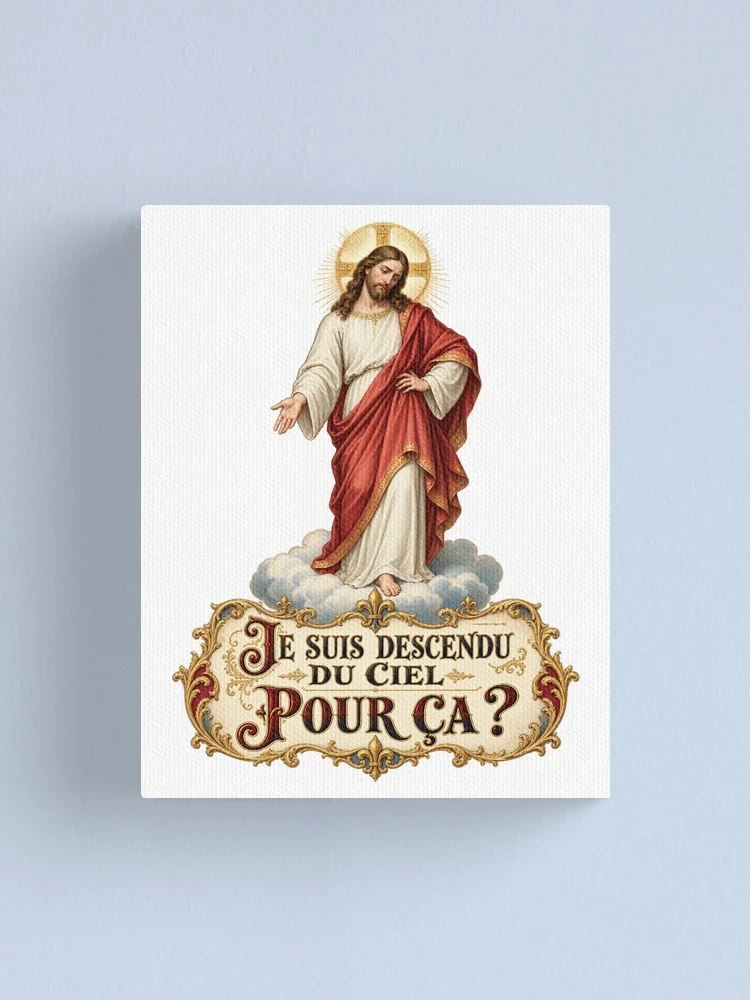 Je suis descendu du ciel pour ça ? — Impression sur toile